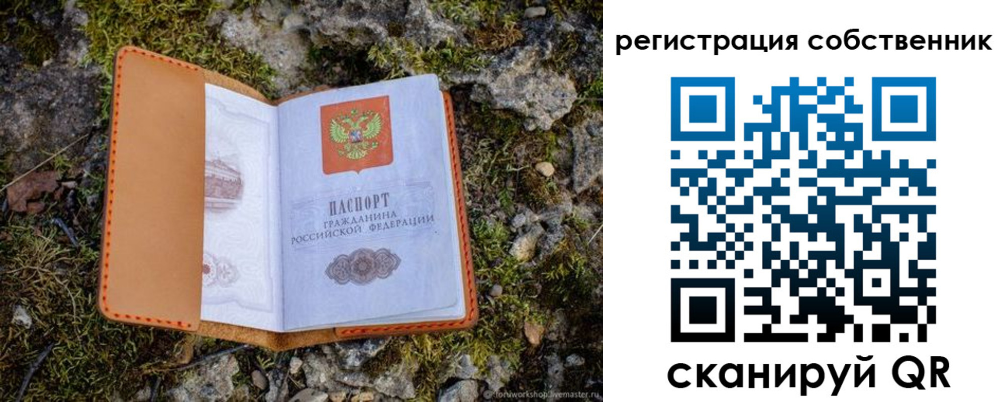 прописка поиск в Чечне